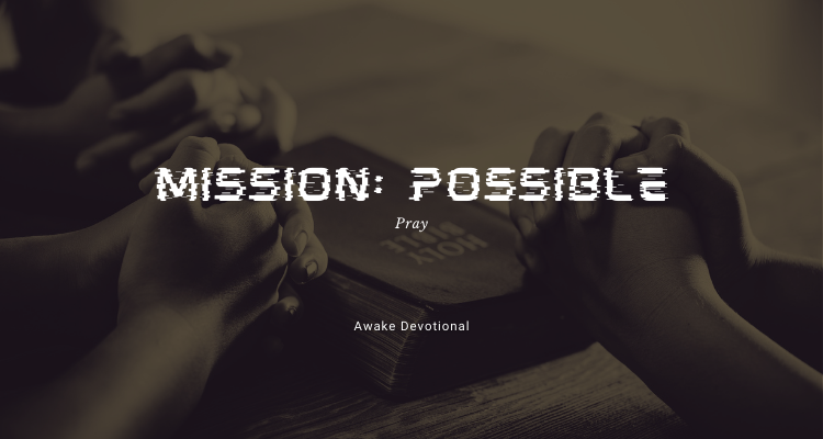 Mission: Possible 2