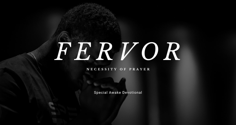 FERVOR 3