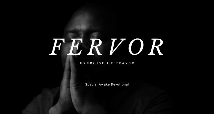 Fervor 2