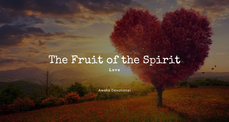 The Fruit of the Spirit 2