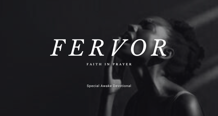 Fervor 4