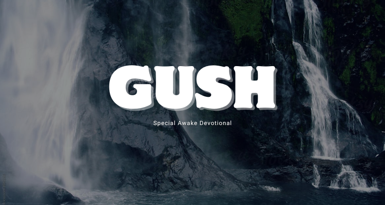 Gush 4