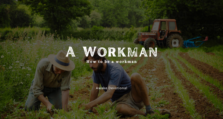 Workman 1
