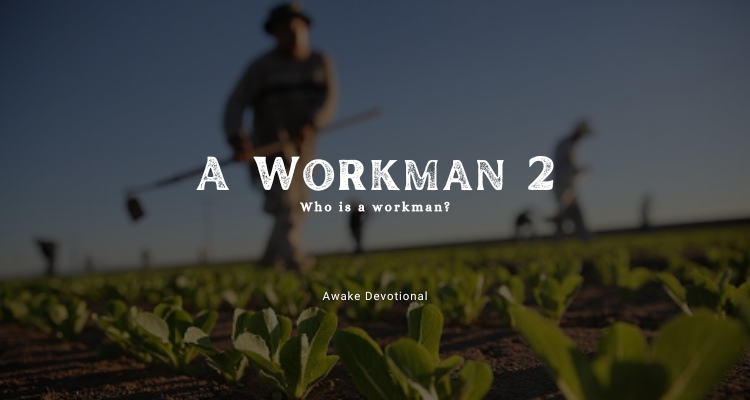 Workman 2