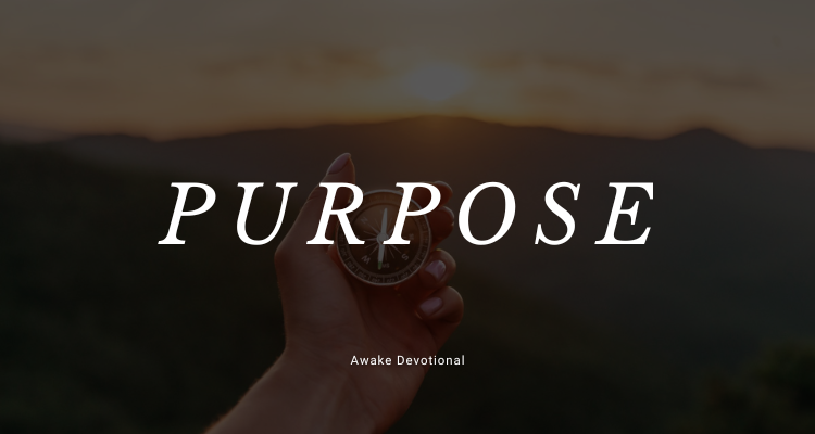 Purpose 1