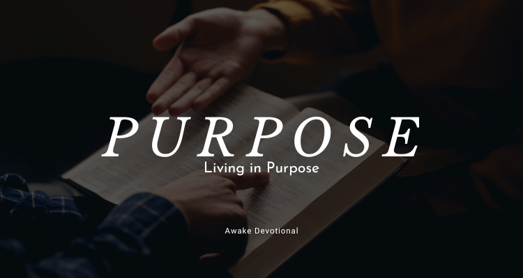 Purpose 2