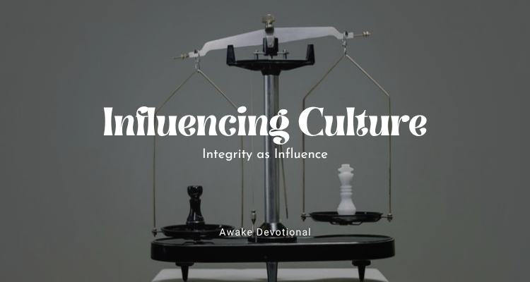 Influencing Culture