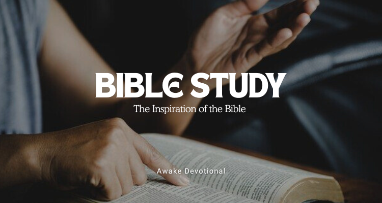 Bible Study
