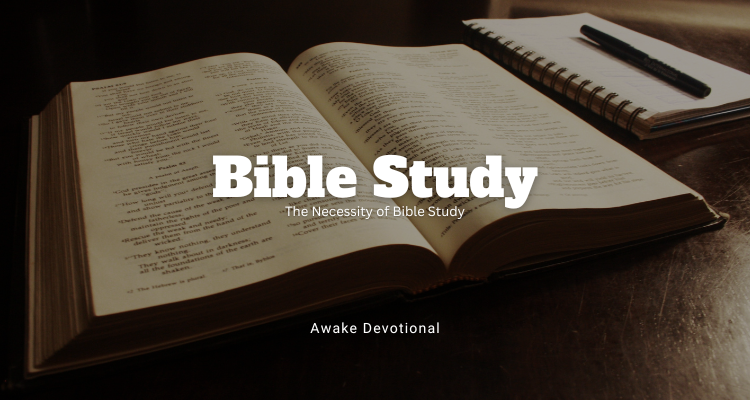 Bible Study: The Necessity of Bible Study