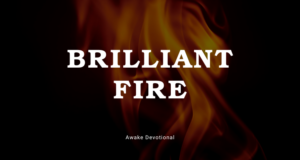 Brilliant Fire