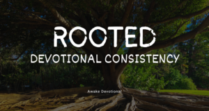 Rooted
