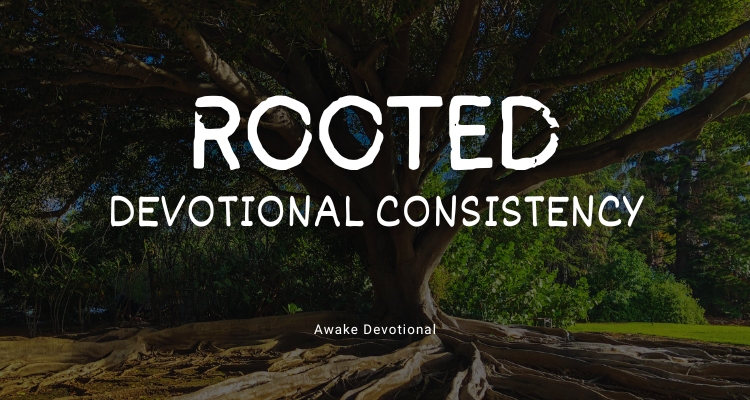 Rooted