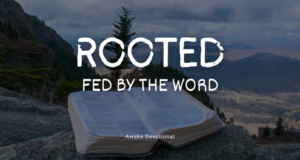 Rooted